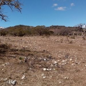 Meet your Posher, Leonel ramon